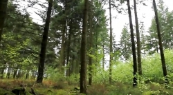 خیلی خیلی کوچک (2) (رومئو و موریت)